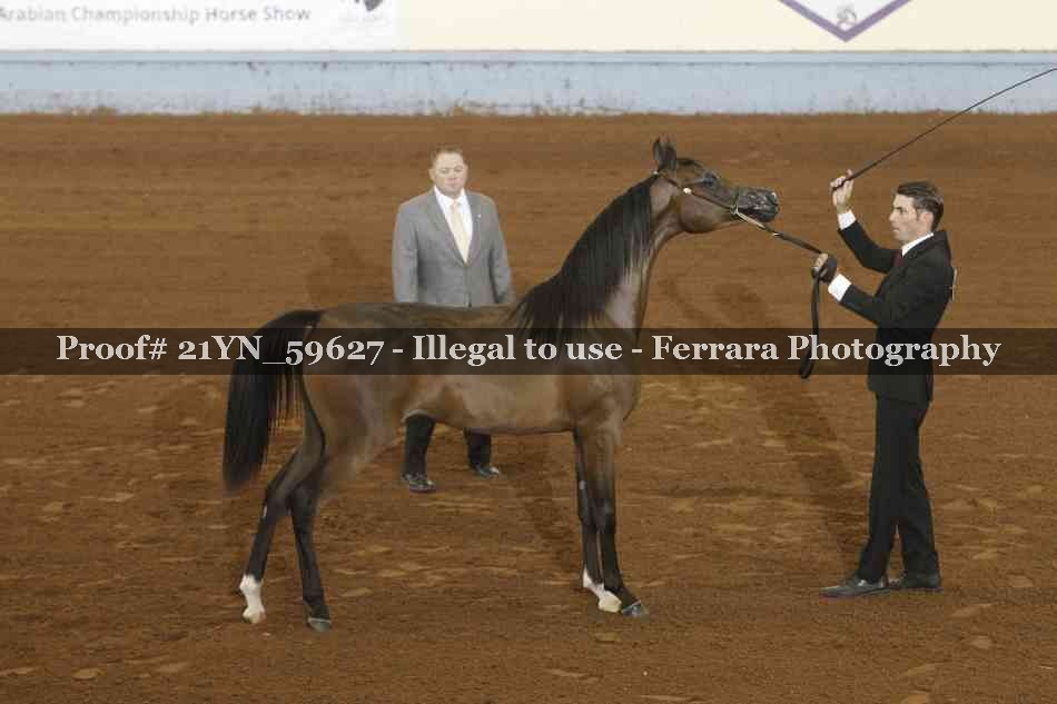 Proof 21YN_59627