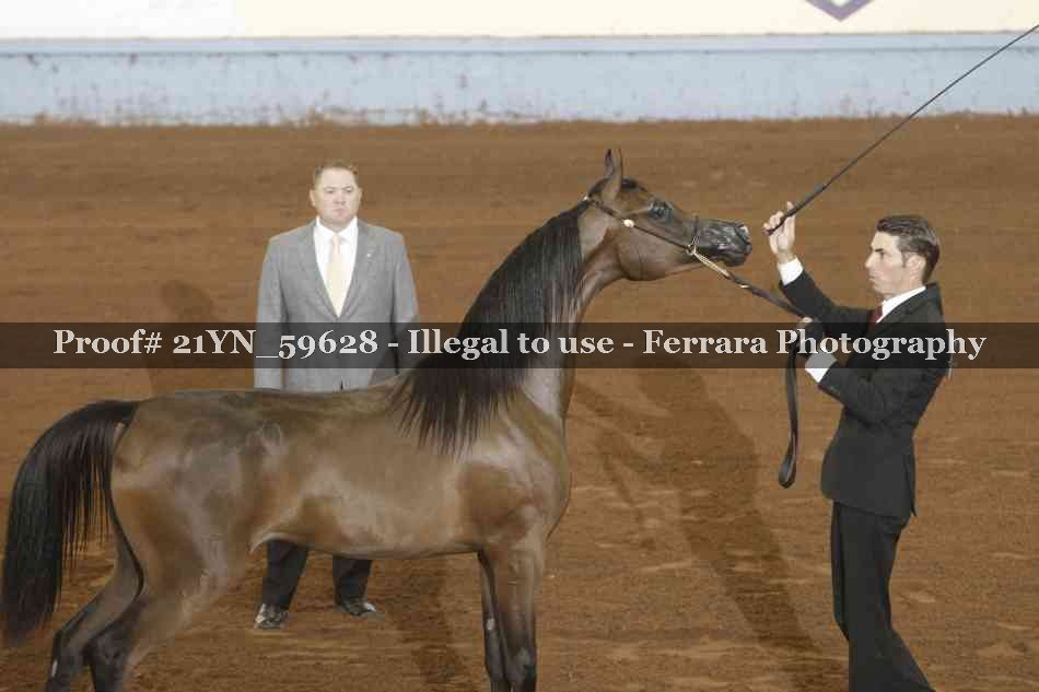 Proof 21YN_59628