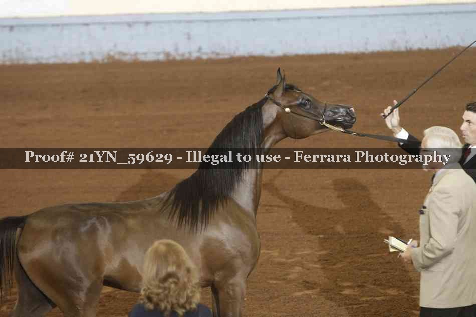 Proof 21YN_59629