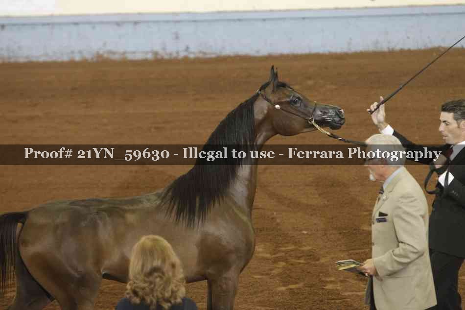 Proof 21YN_59630