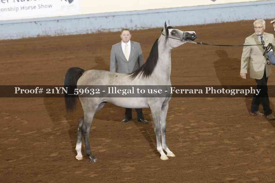 Proof 21YN_59632