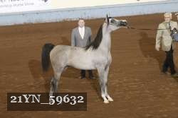21YN_59632 proof