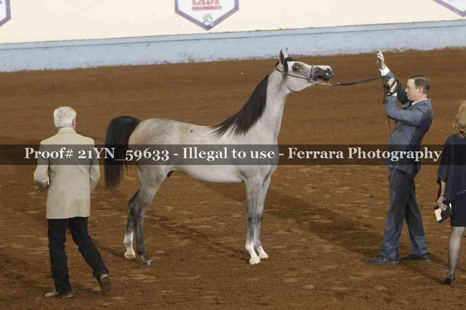 Proof 21YN_59633