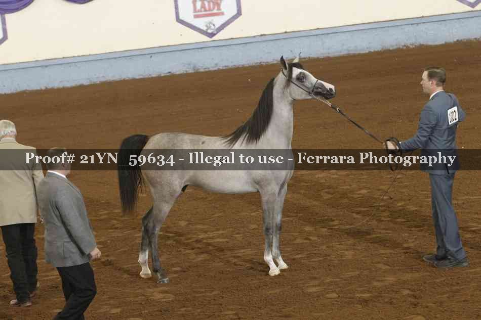 Proof 21YN_59634