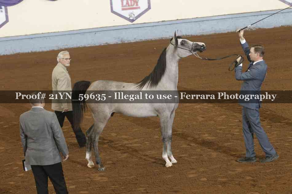 Proof 21YN_59635