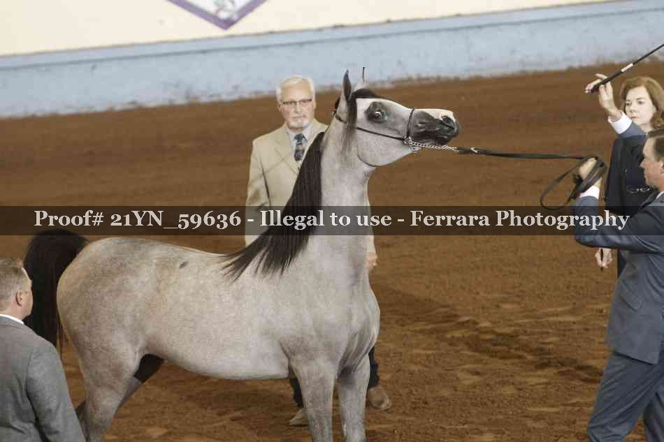 Proof 21YN_59636