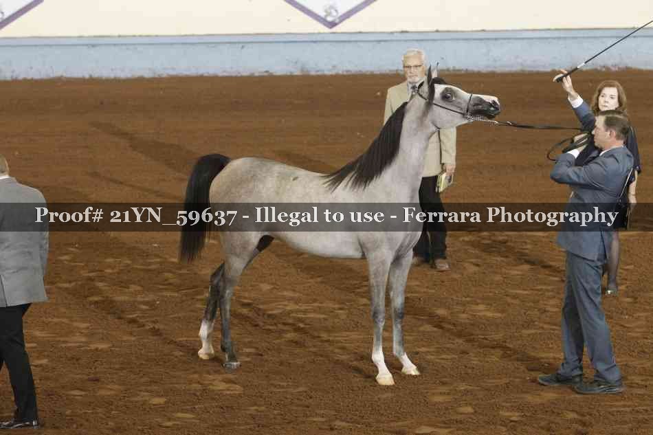 Proof 21YN_59637
