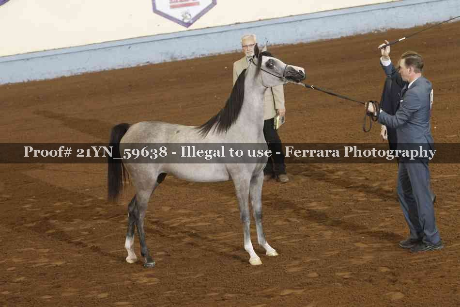 Proof 21YN_59638