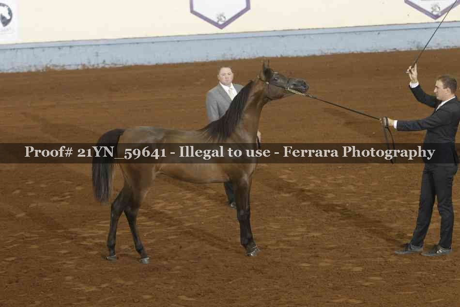 Proof 21YN_59641