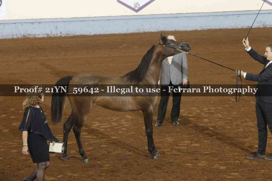 Proof 21YN_59642