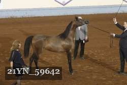 21YN_59642 proof