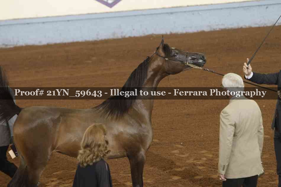 Proof 21YN_59643