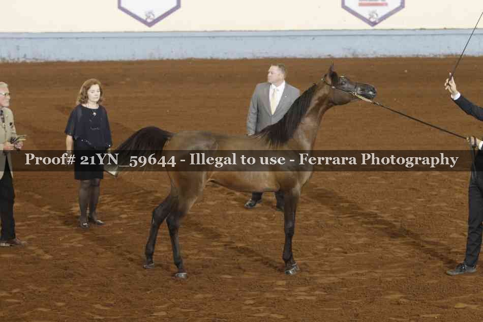 Proof 21YN_59644