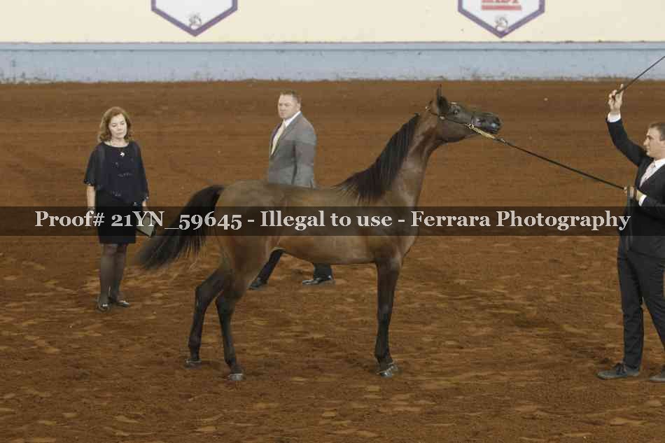 Proof 21YN_59645