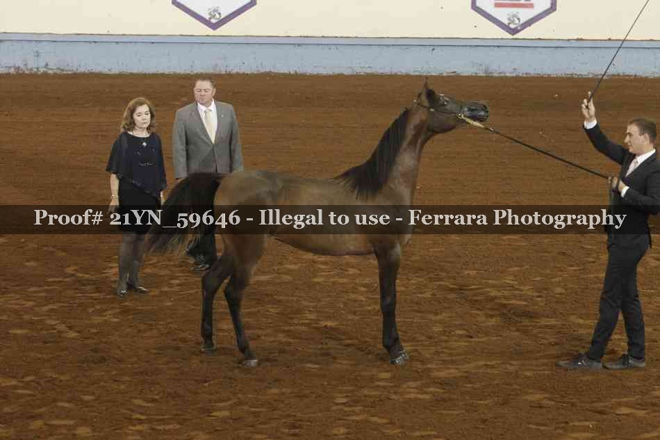 Proof 21YN_59646