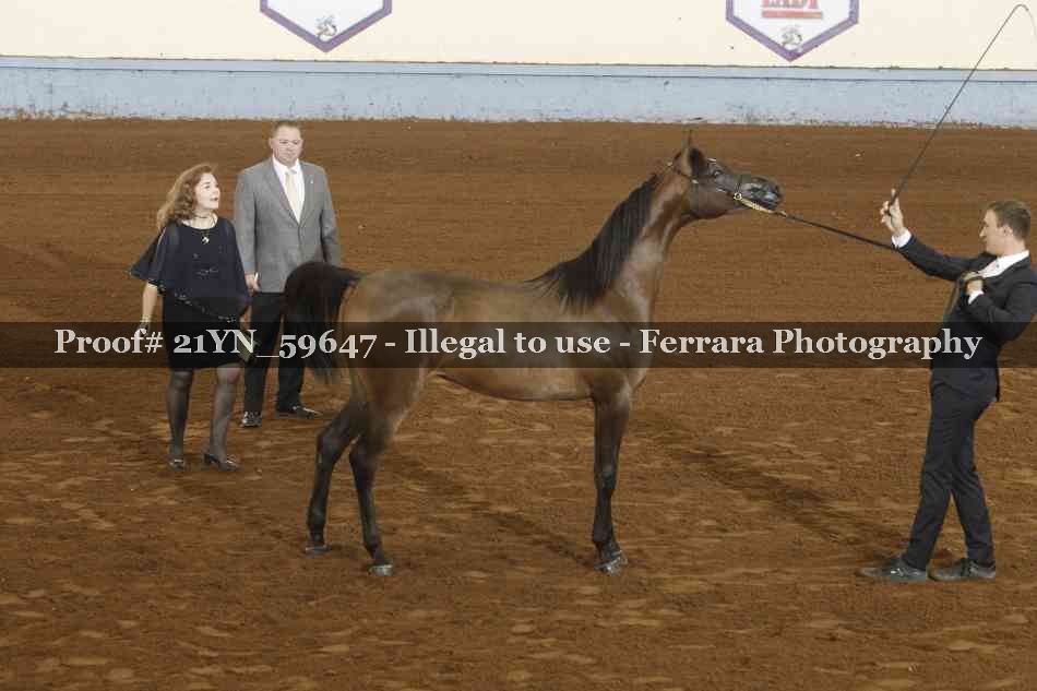Proof 21YN_59647