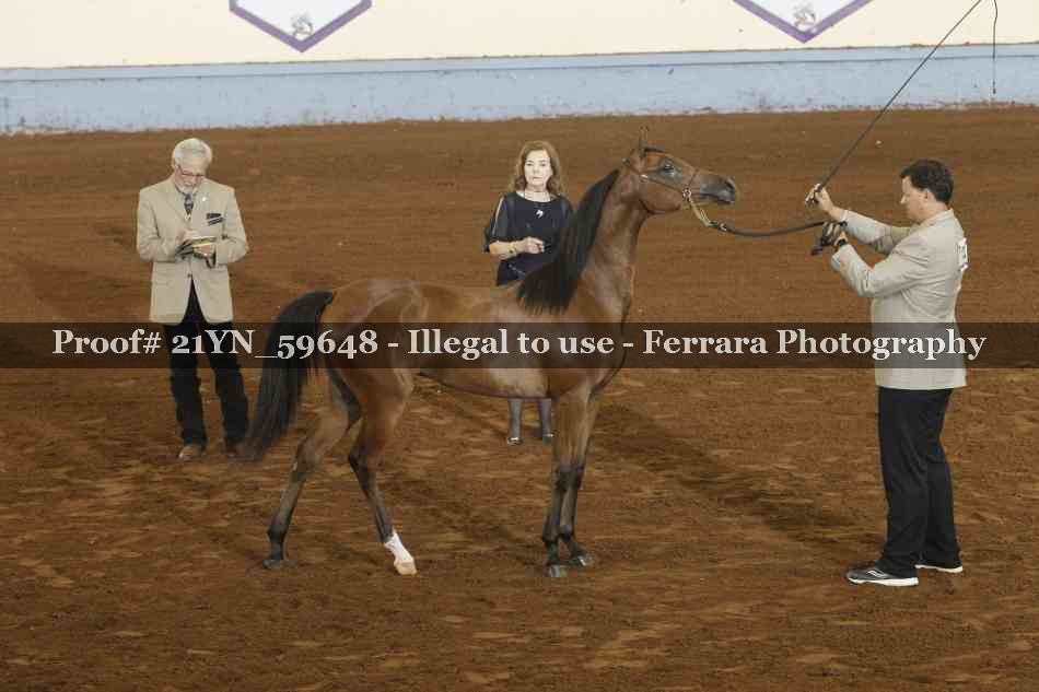 Proof 21YN_59648