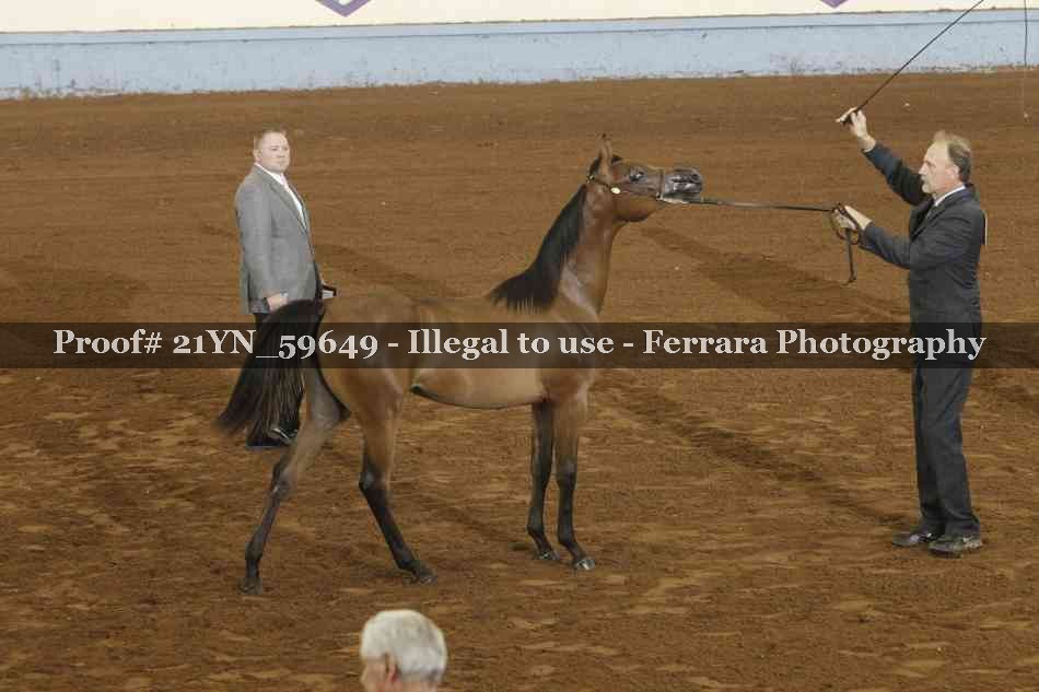 Proof 21YN_59649