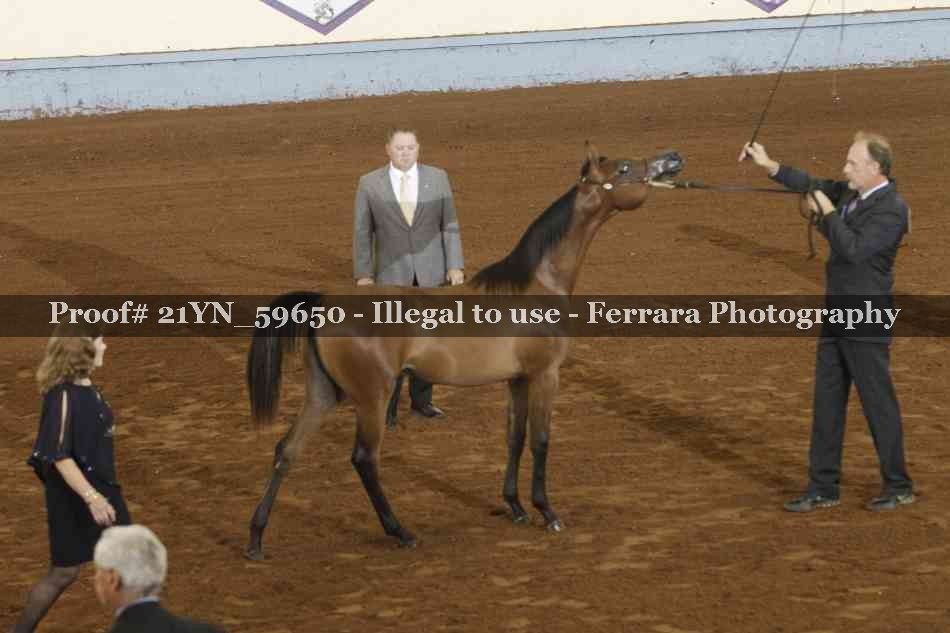 Proof 21YN_59650