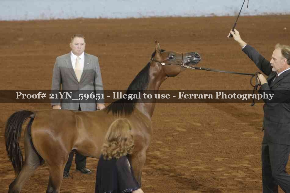 Proof 21YN_59651