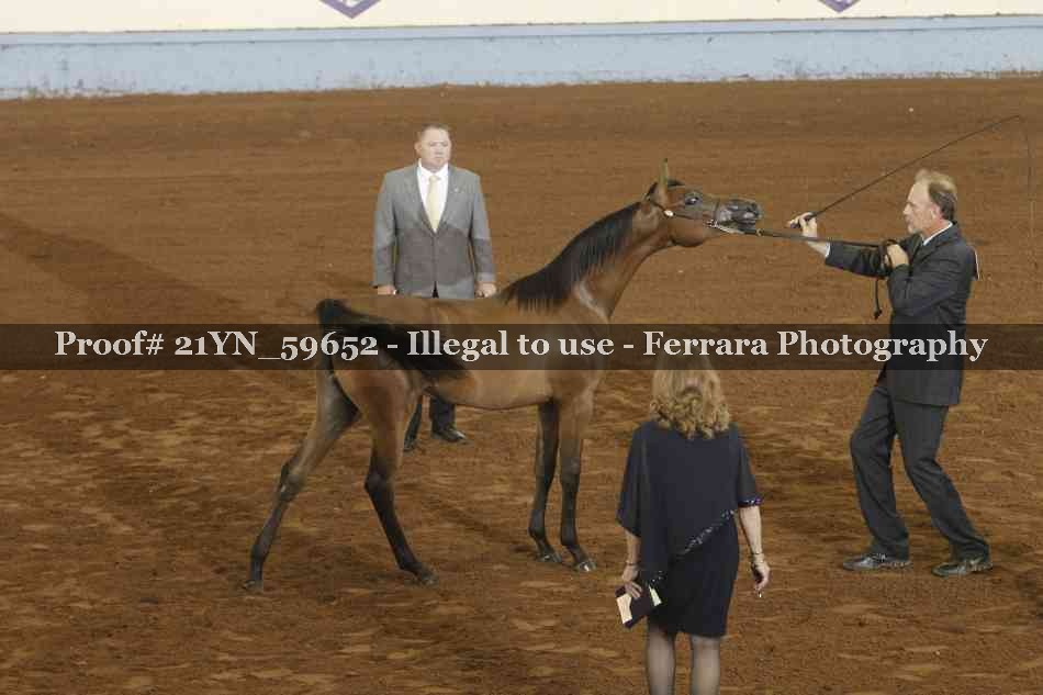 Proof 21YN_59652