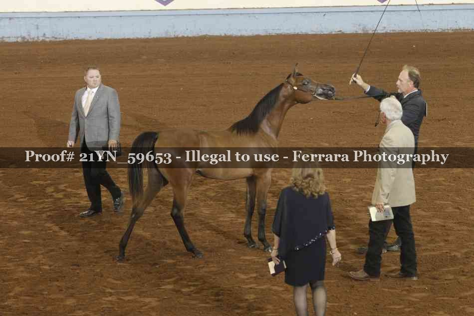 Proof 21YN_59653
