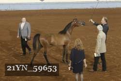 21YN_59653 proof