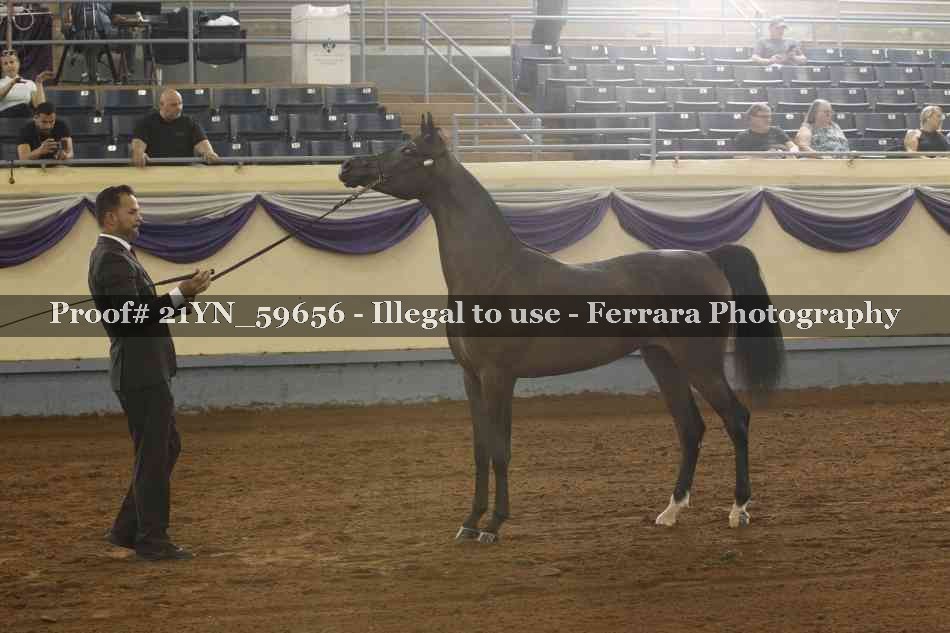 Proof 21YN_59656