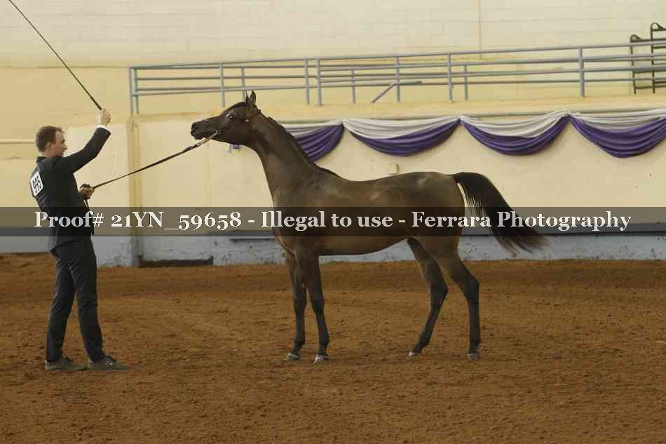 Proof 21YN_59658