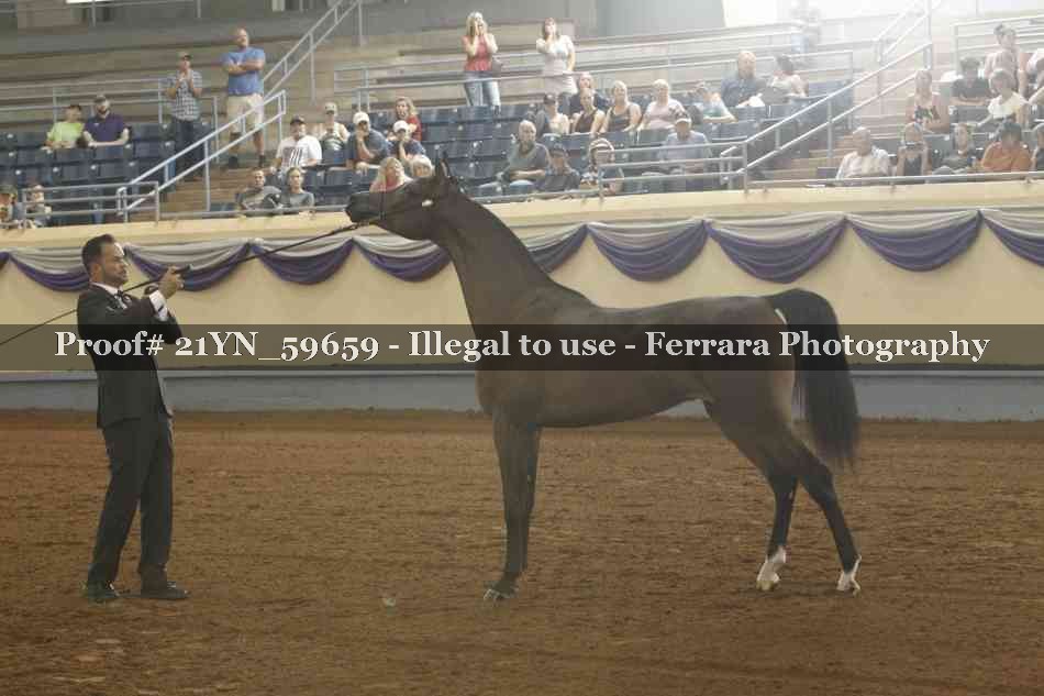 Proof 21YN_59659