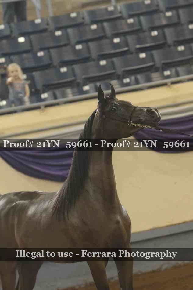 Proof 21YN_59661