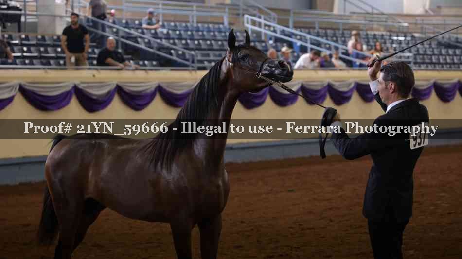 Proof 21YN_59666