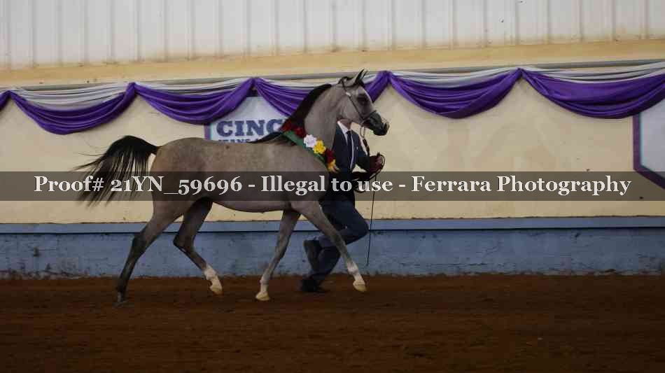 Proof 21YN_59696