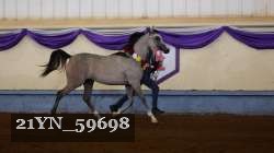 21YN_59698 proof
