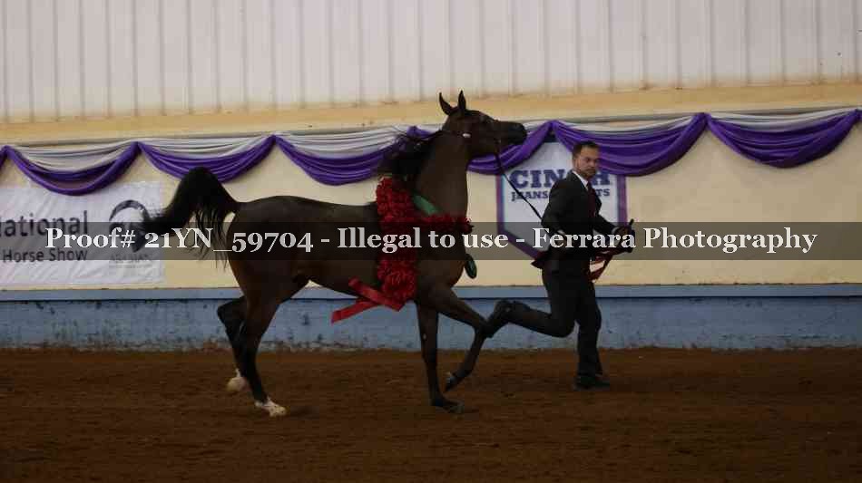 Proof 21YN_59704