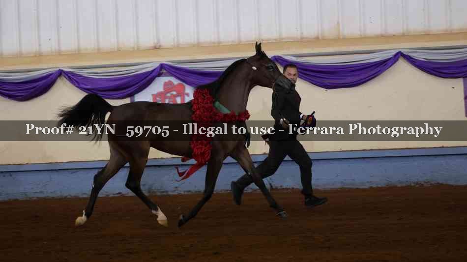 Proof 21YN_59705