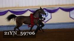 21YN_59706 proof