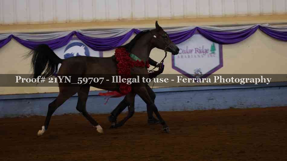Proof 21YN_59707