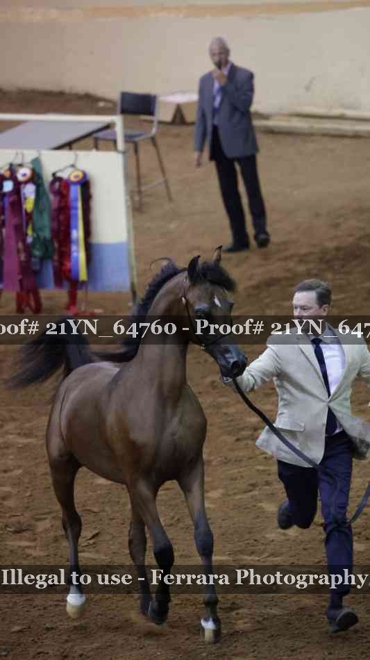 Proof 21YN_64760