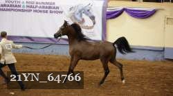 21YN_64766 proof