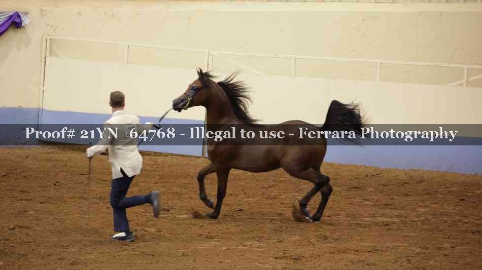 Proof 21YN_64768