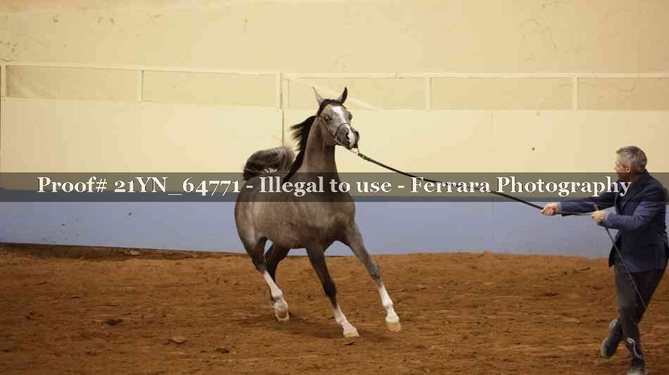 Proof 21YN_64771