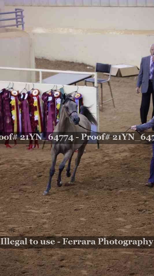 Proof 21YN_64774