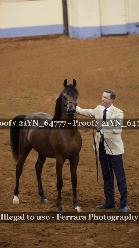 Proof 21YN_64777