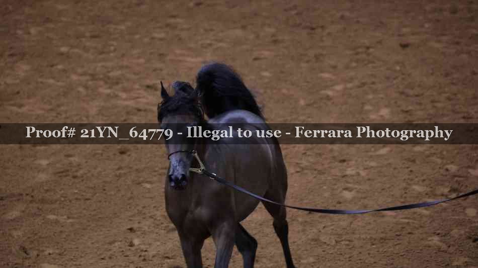 Proof 21YN_64779
