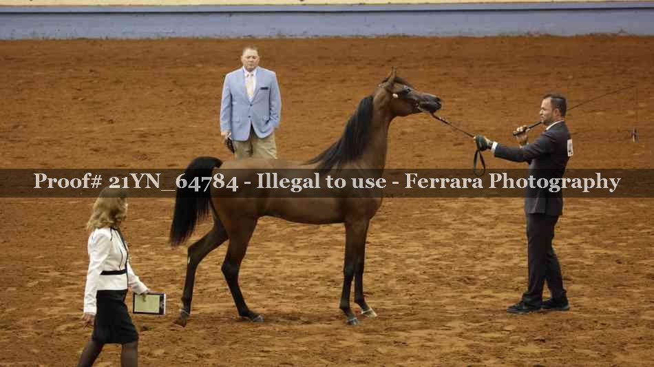 Proof 21YN_64784