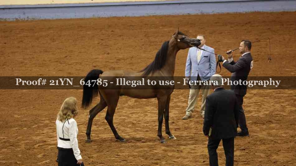 Proof 21YN_64785