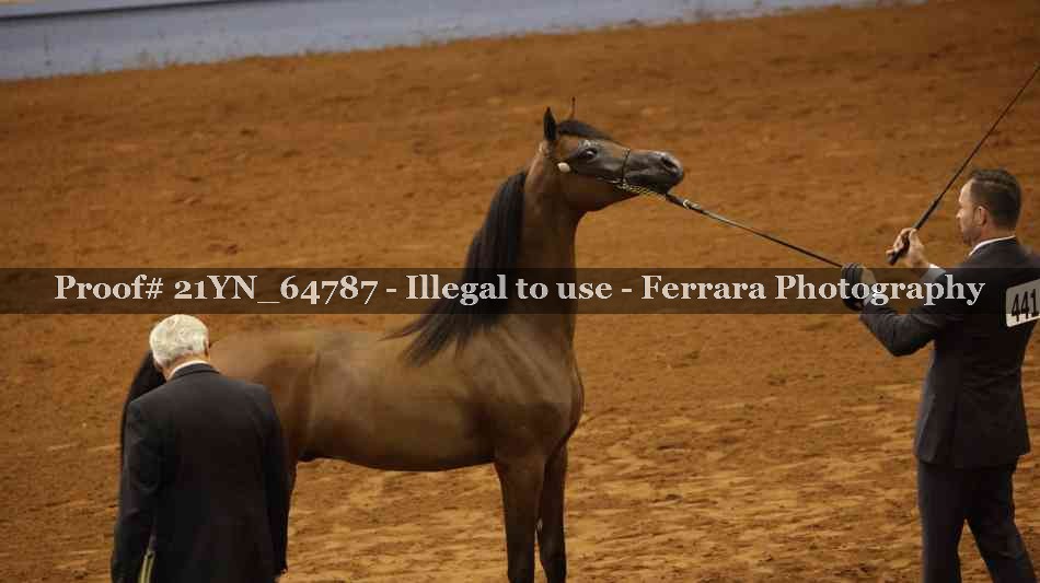 Proof 21YN_64787
