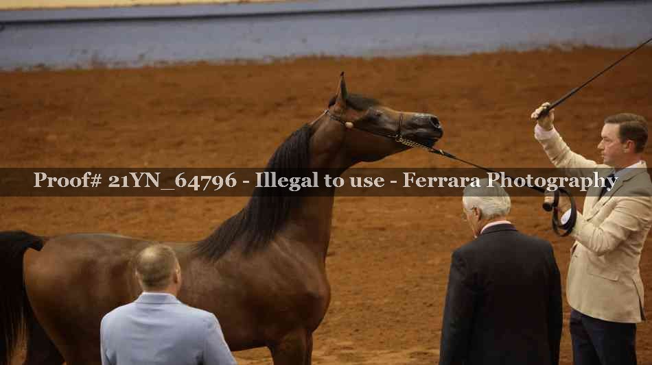 Proof 21YN_64796