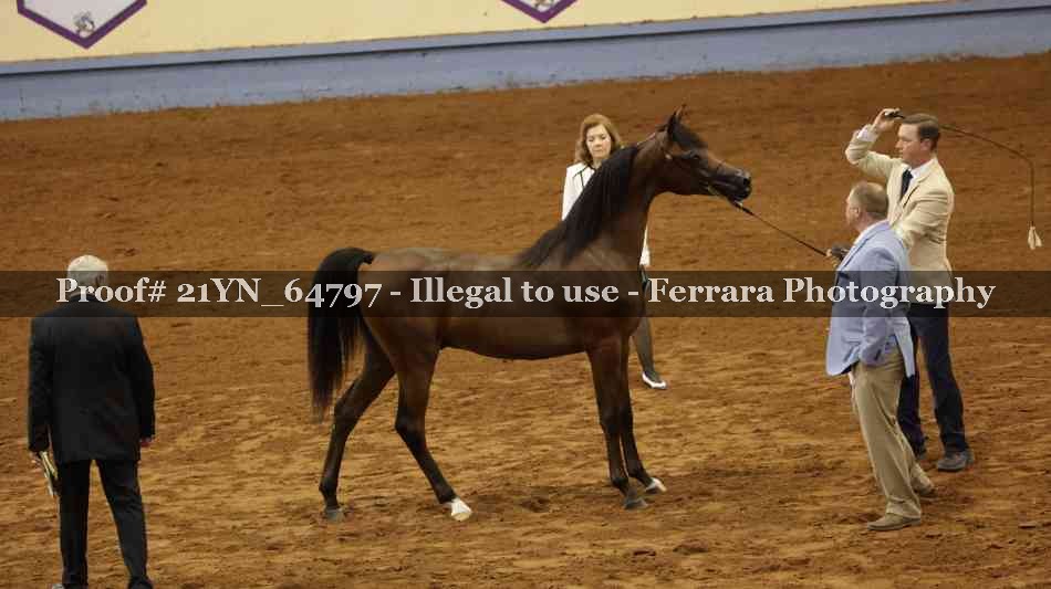 Proof 21YN_64797